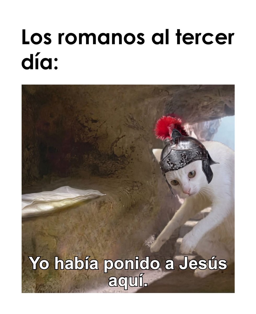 Bruja Pititis tweet media