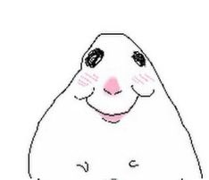 tori toot tweet media