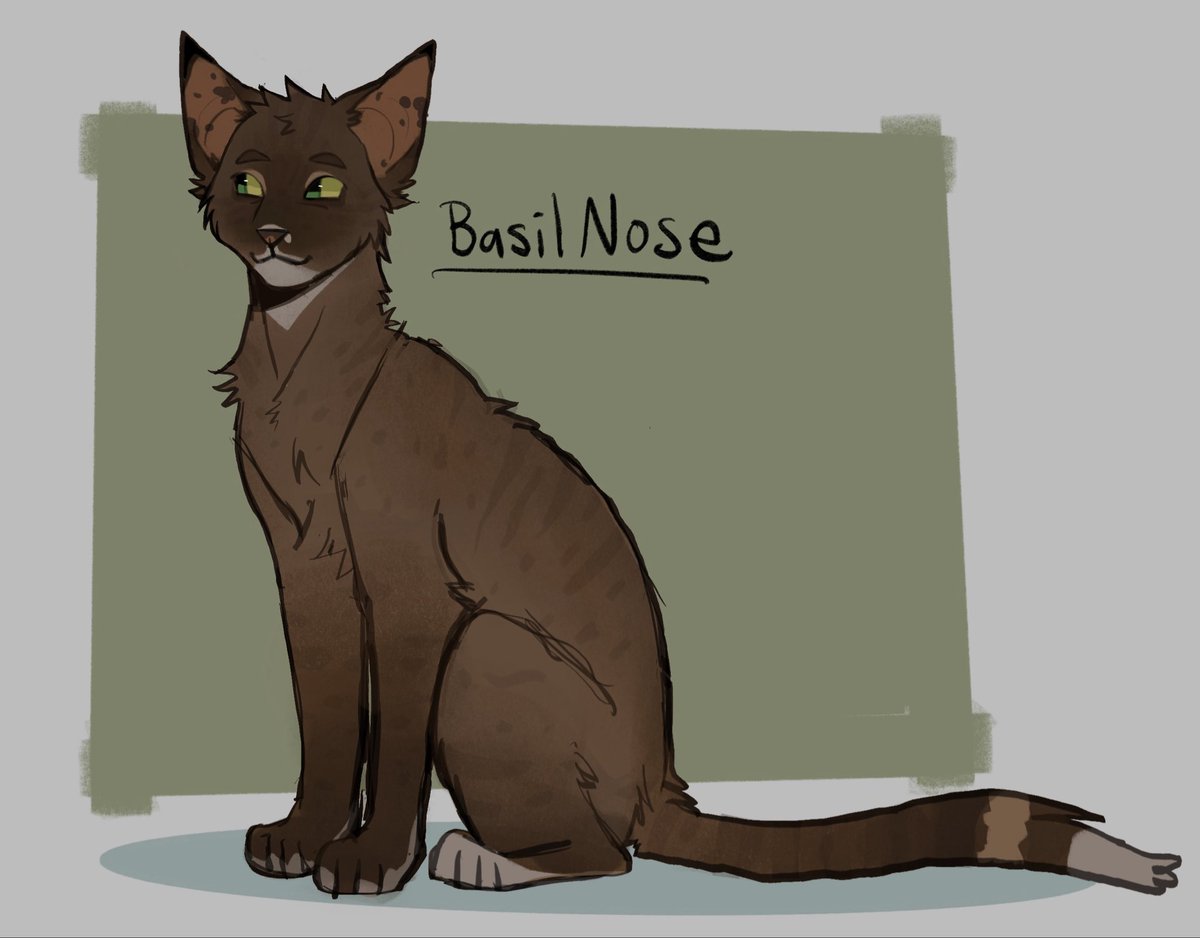 Warrior cats are all over my tl, so wanted to redraw an old old wc oc of mine, basilnose!

#warriorcats #WCoc