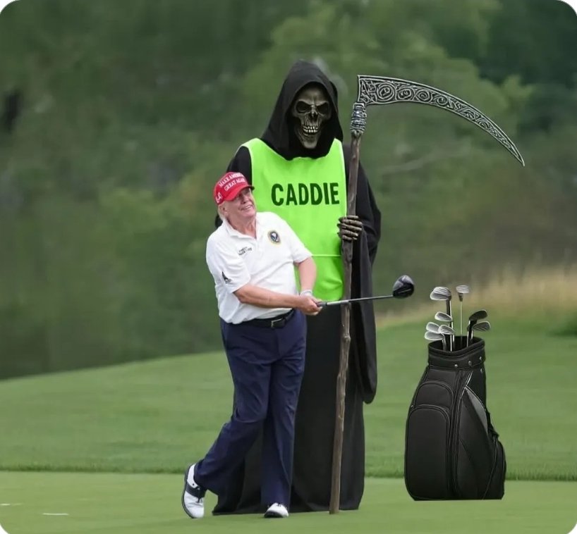 Peter Fox 🦊 tweet media