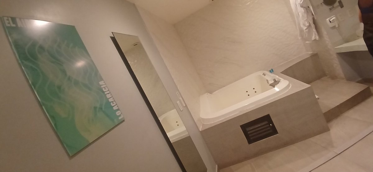 Pinguinos0904 tweet media