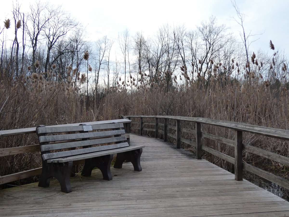 siah 🐦‍⬛ tweet media