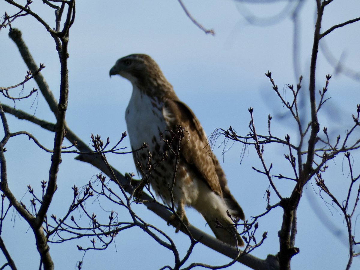 siah 🐦‍⬛ tweet media