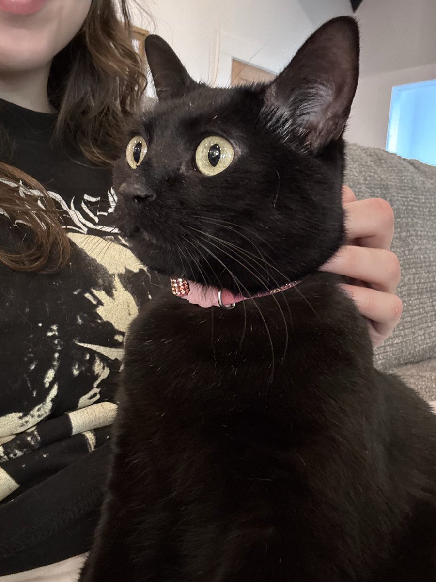 gemini ❤️‍🔥 tweet media