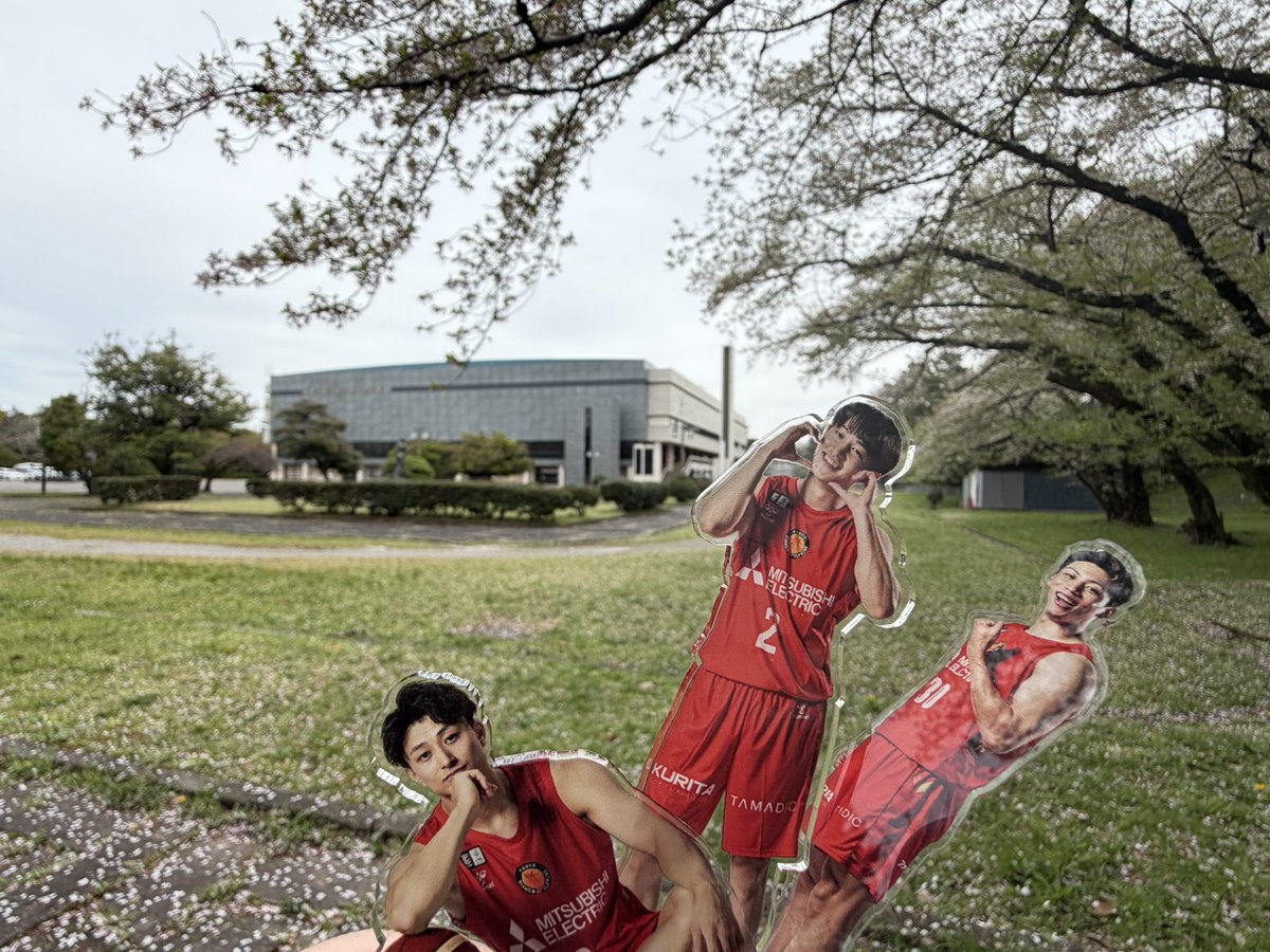 ちょこ🐬 tweet media