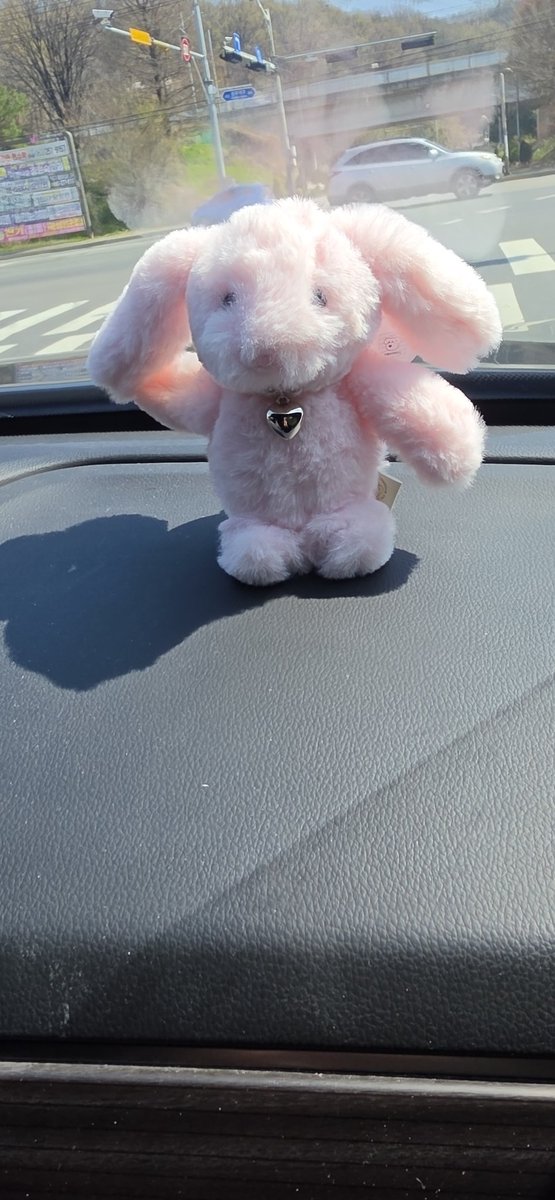 쭈니♡ tweet media