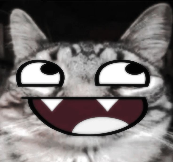 Talpperi tweet media