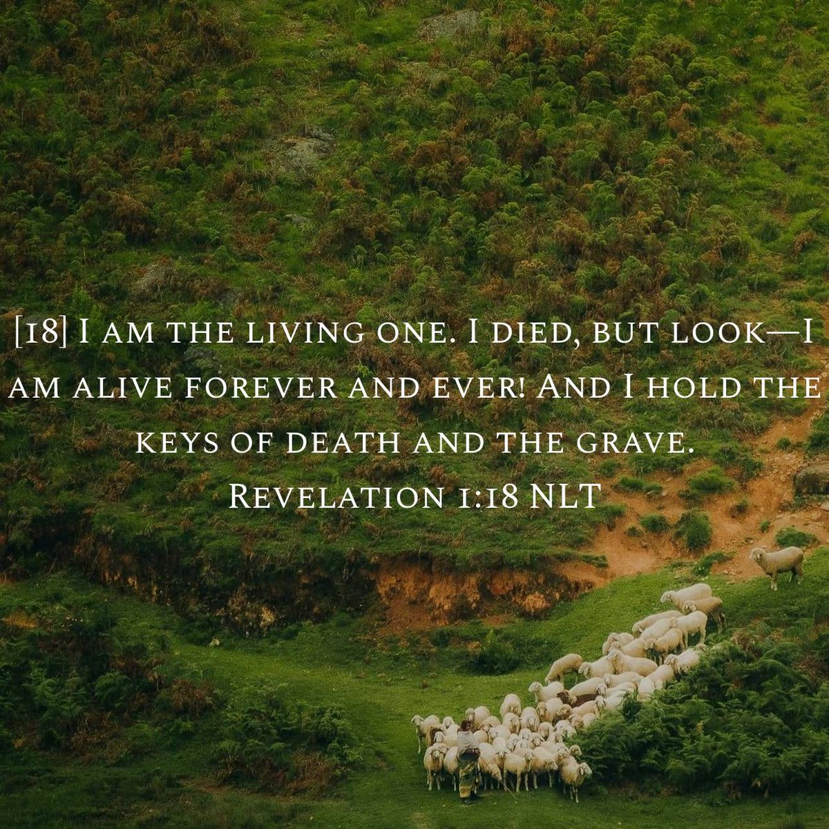 Revelation 1:18 NLT
I am the living one. I died, but look—I am alive forever and ever! And I hold the keys of death and the grave.

bible.com/bible/116/rev.…