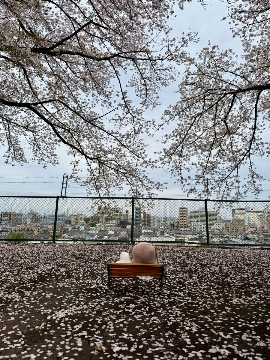 わこー tweet media