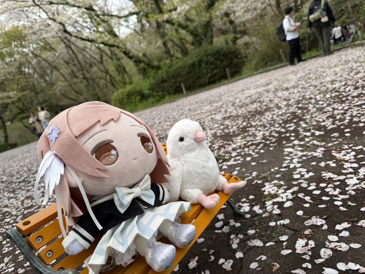 わこー tweet media