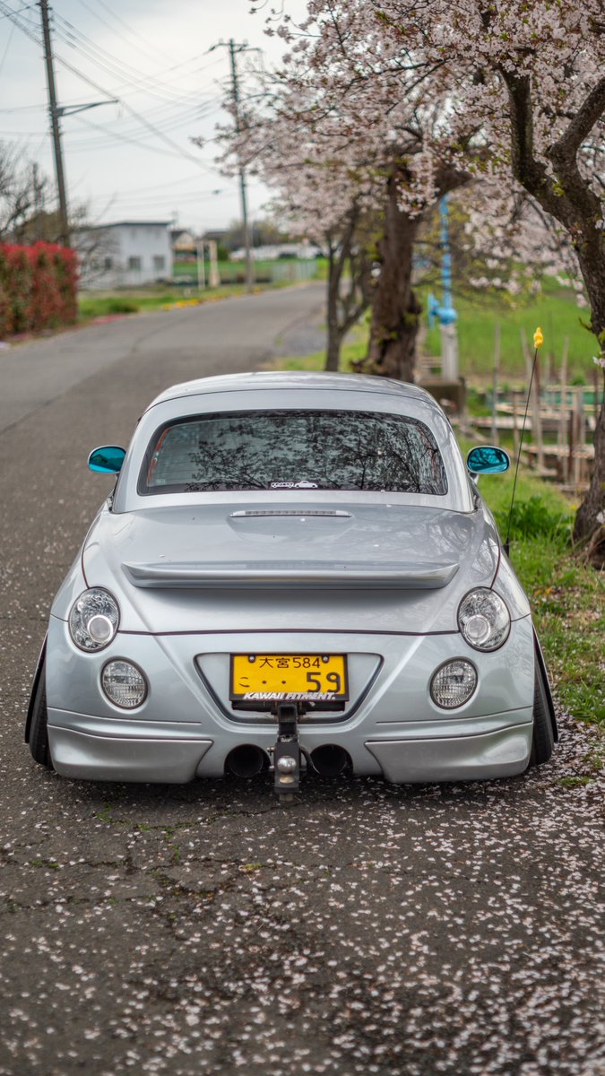 けーじ🐱 tweet media