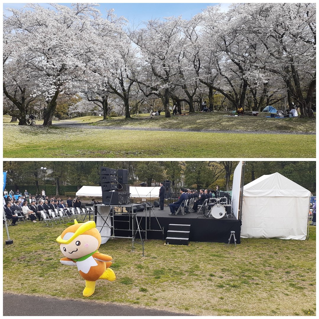 チャキ・チャキ tweet media