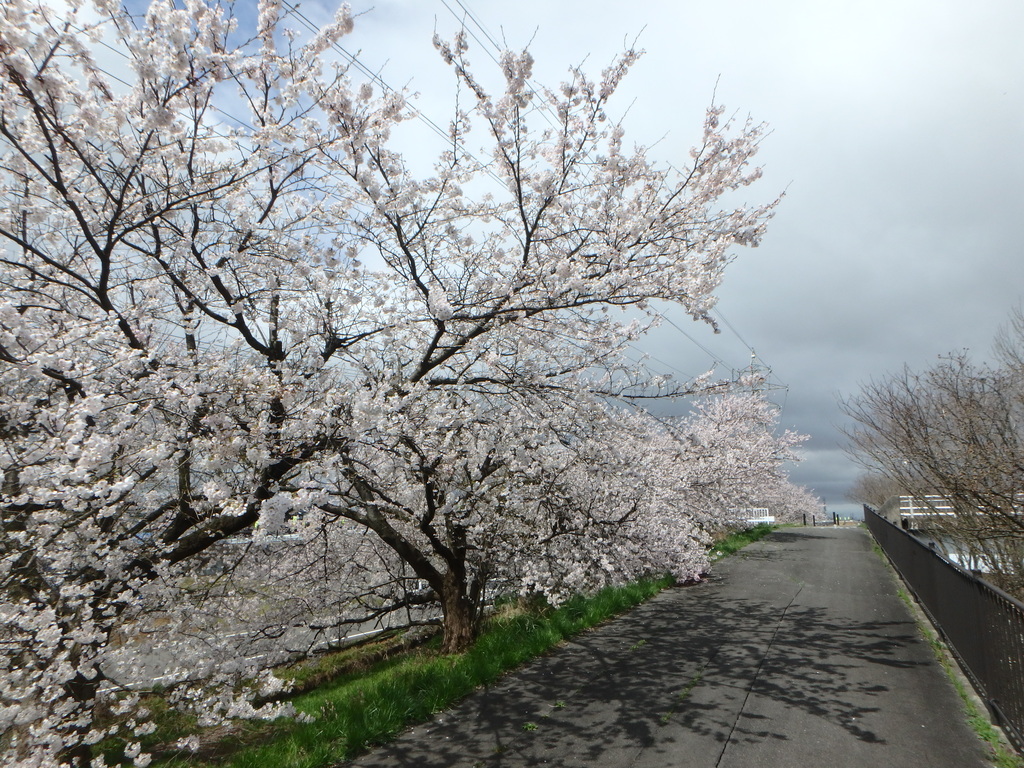 新潟市新津鉄道資料館 tweet media