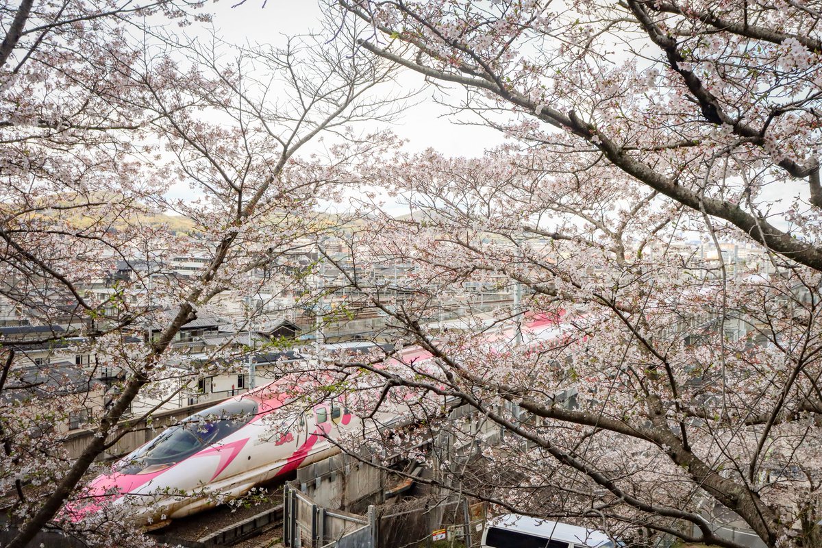 おふぐє( ˘ω˘ )эP C107 (2日目)西2さ38b委託 tweet media