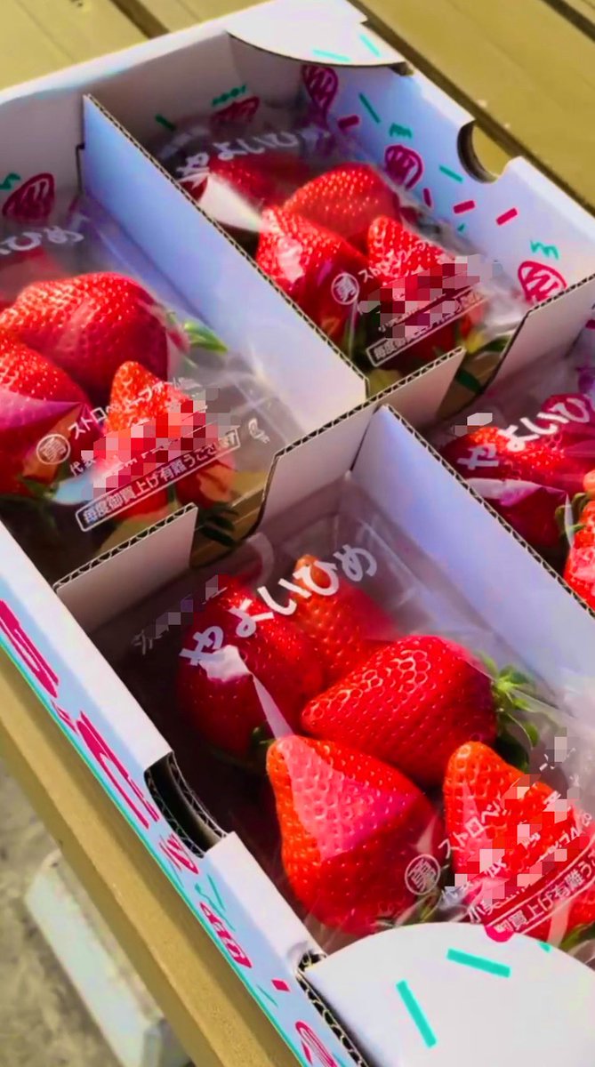 ryota_summer's tweet image. Thank you🍓🍓🍓🍓
A wonderful day begins🏖️

I will be grateful for everything, 
both the best and the worst things 
that happen🩵

#strawberry #thankyou #iloveyou 
#🍓🍓🍓🍓

#RyotaroKanehara