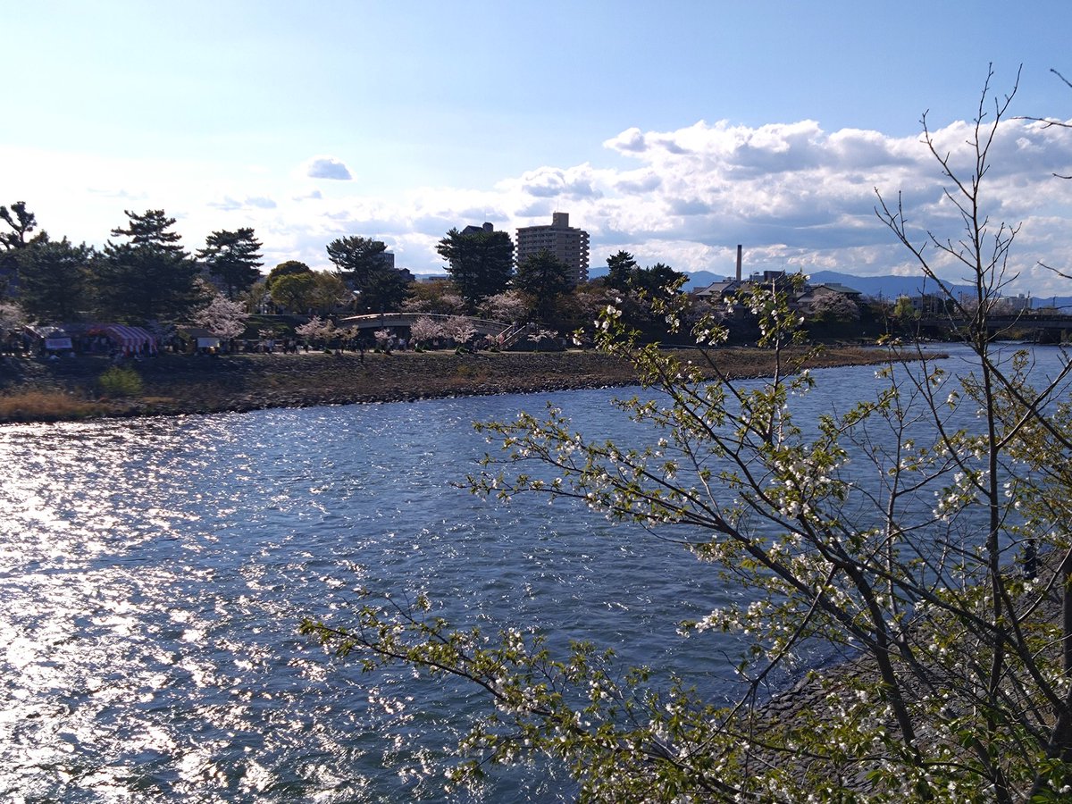 §まりぃー♪1104🌈ペカっこ tweet media