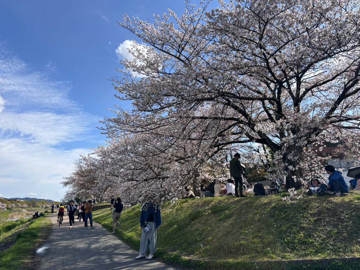 🎼レモン🍋 tweet media