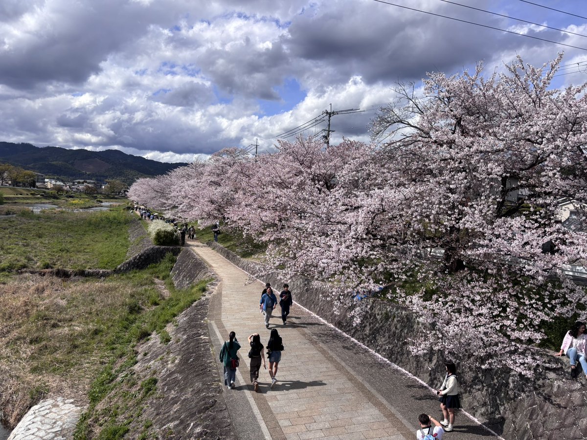 🎼レモン🍋 tweet media