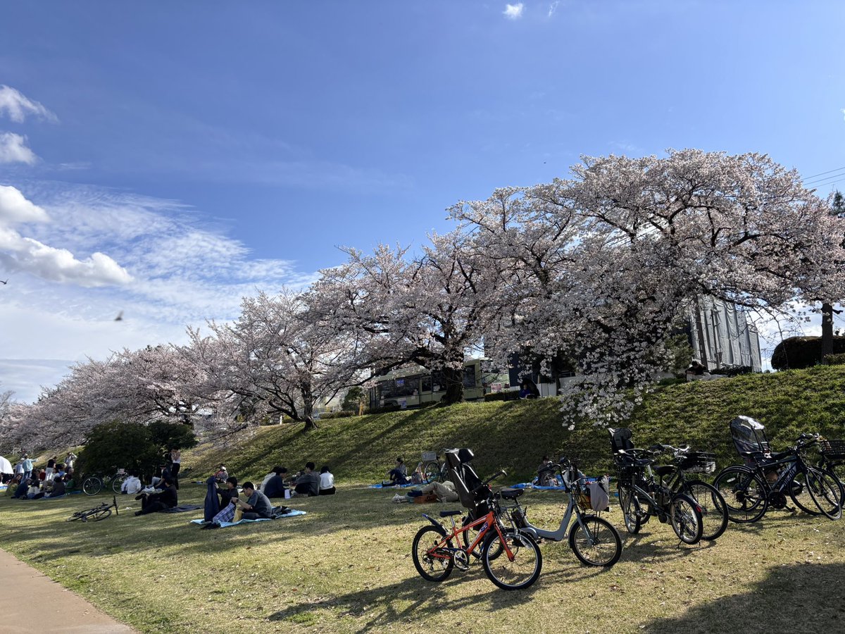 🎼レモン🍋 tweet media