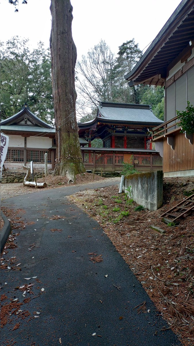 THA先輩ver.2 tweet media