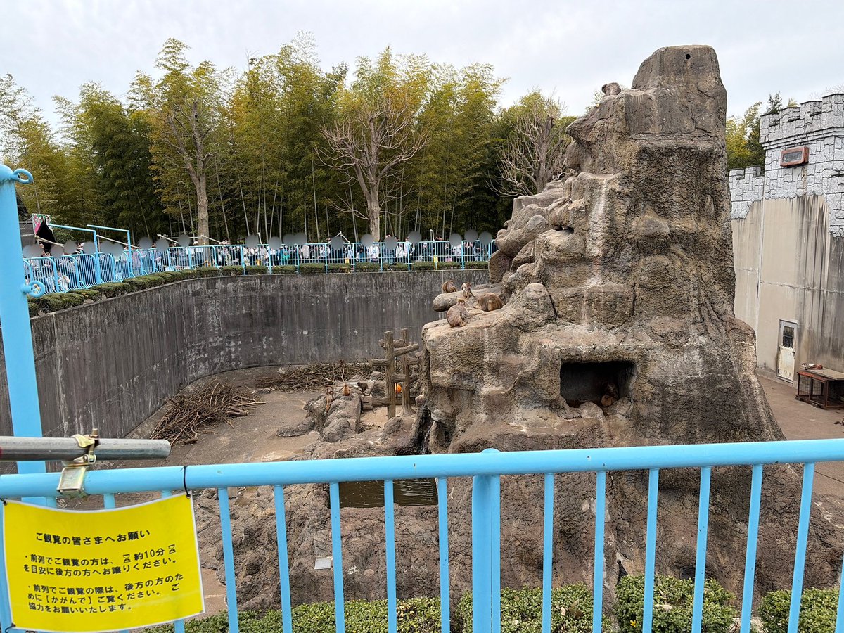 市川市動植物園(公式) tweet media