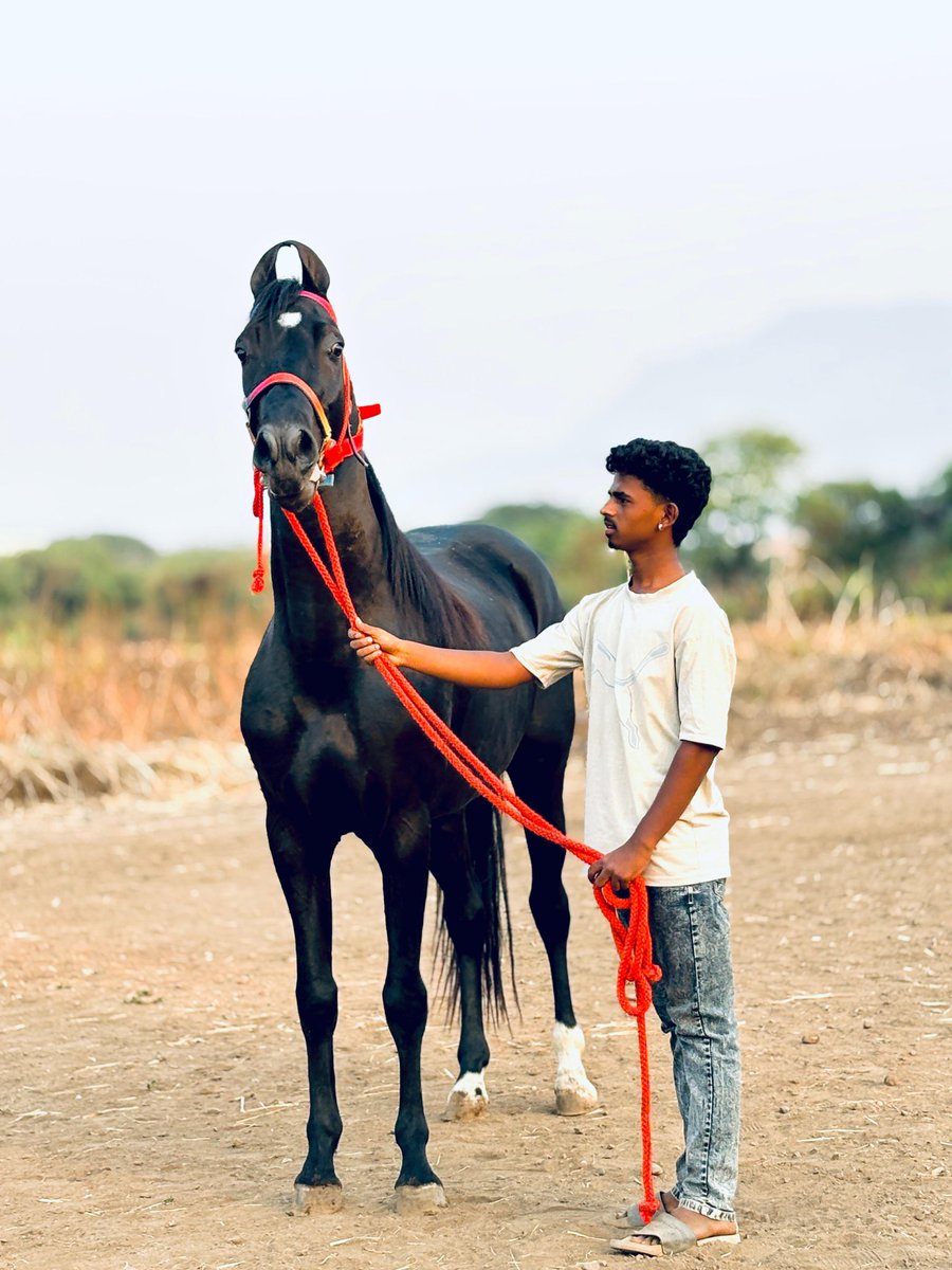 Rajashekar reddy 🗡️ 🚩 tweet media