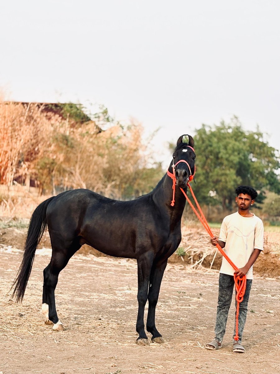 Rajashekar reddy 🗡️ 🚩 tweet media