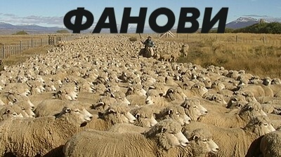 Милан Д. Станојевић tweet media