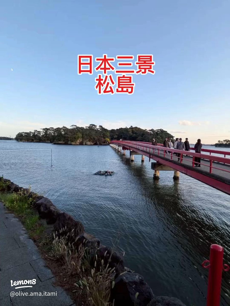 Ozapi🧑‍🦲⚽️🐬🐕‍🦺🐈🎸🥁🌻 tweet media