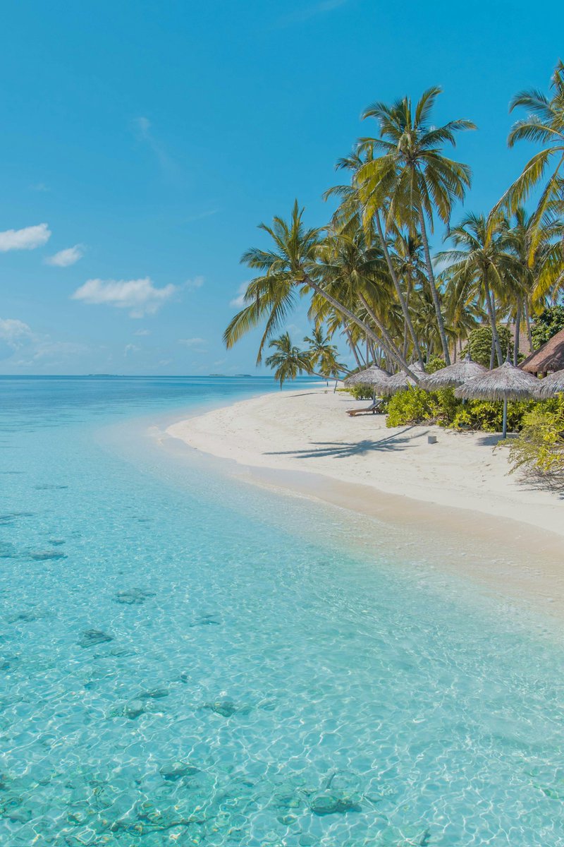 miraculousearth's tweet image. 📷 Photo 246:
📍Filaidhoo, Maldives

Good morning, and in case I don't see ya, good afternoon, good evening, and good night!

Have a great Sunday🙏
#Maldives #Travel #Earth