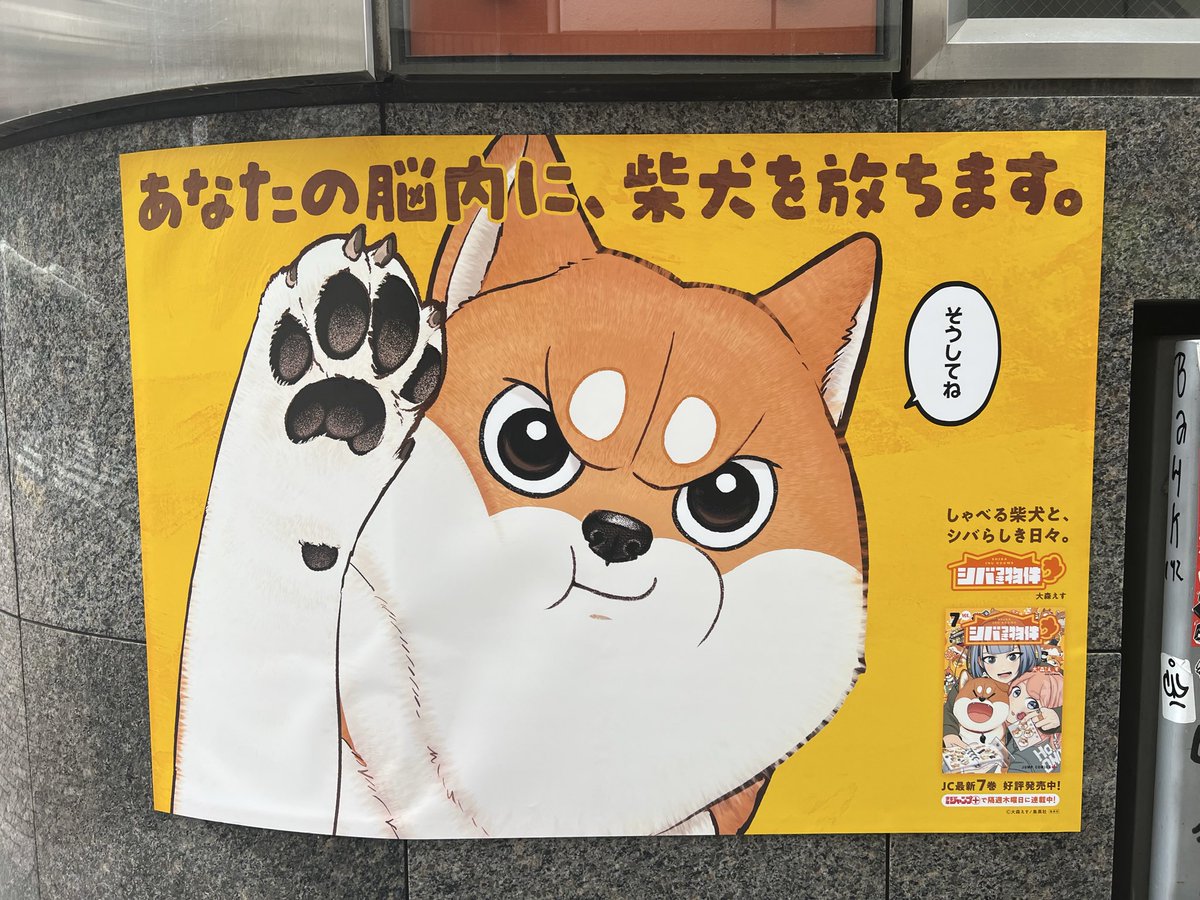 _mhtty's tweet photo. むうちゃんに会ってきた🐶🌸🚶‍♀️
5ヶ所ともかわいかった☺️💕

#シバ付き物件 https://t.co/KUlwmnCCVT