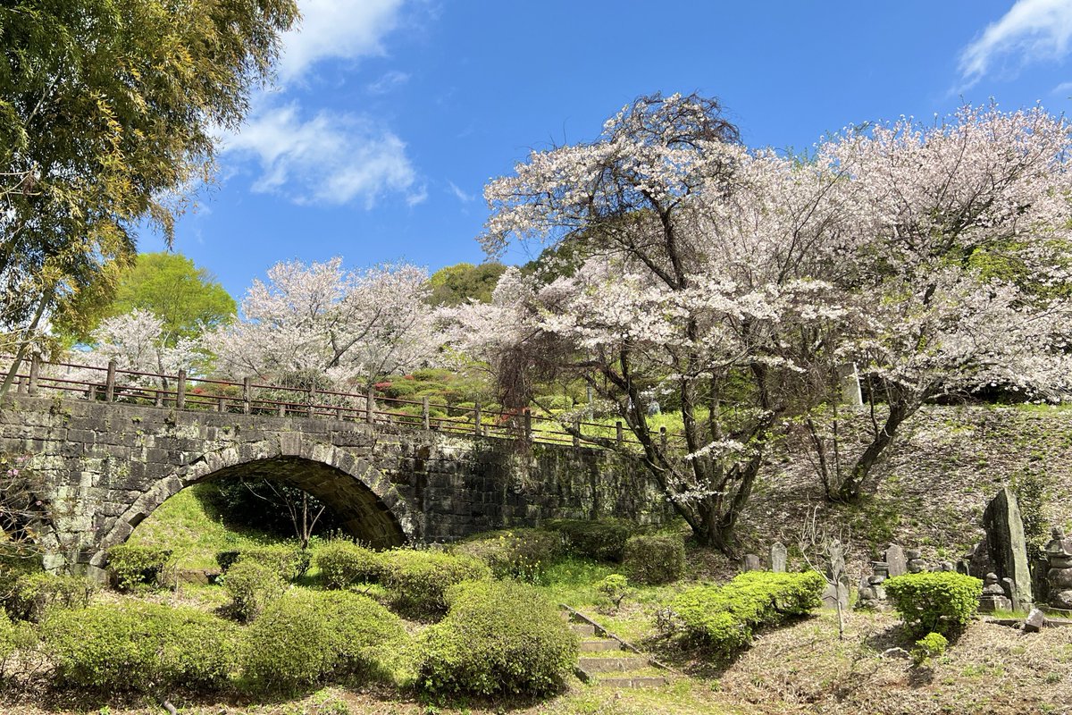 山鹿もてなしたい tweet media