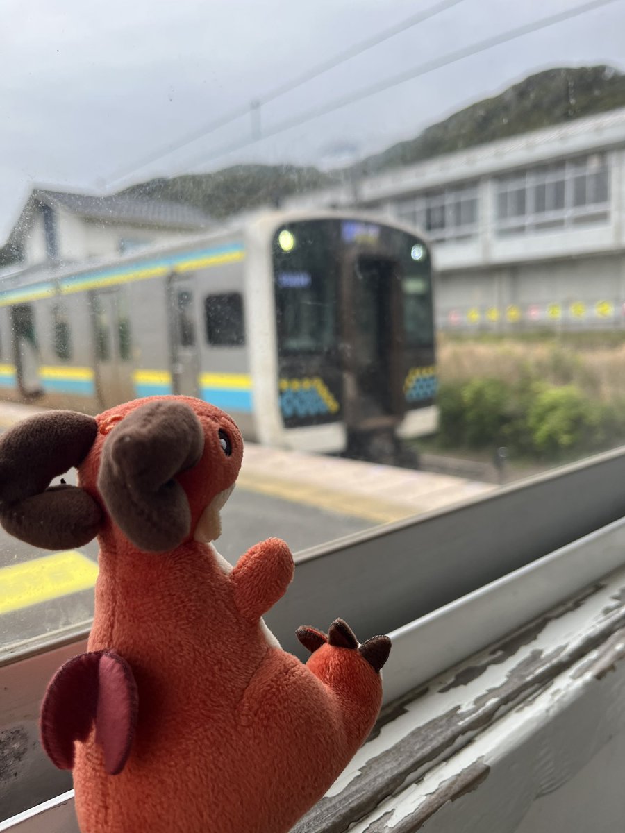 マサキ tweet media