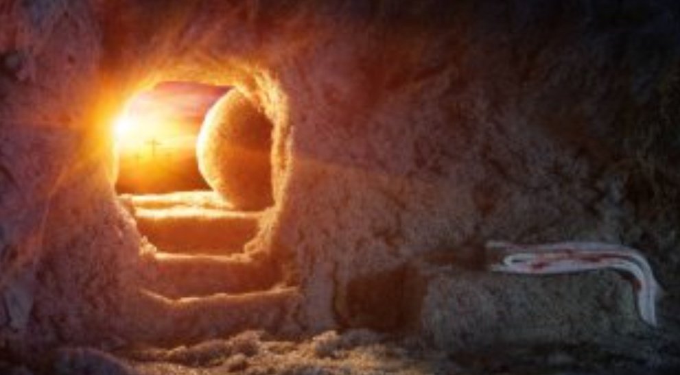 Falcata. tweet media