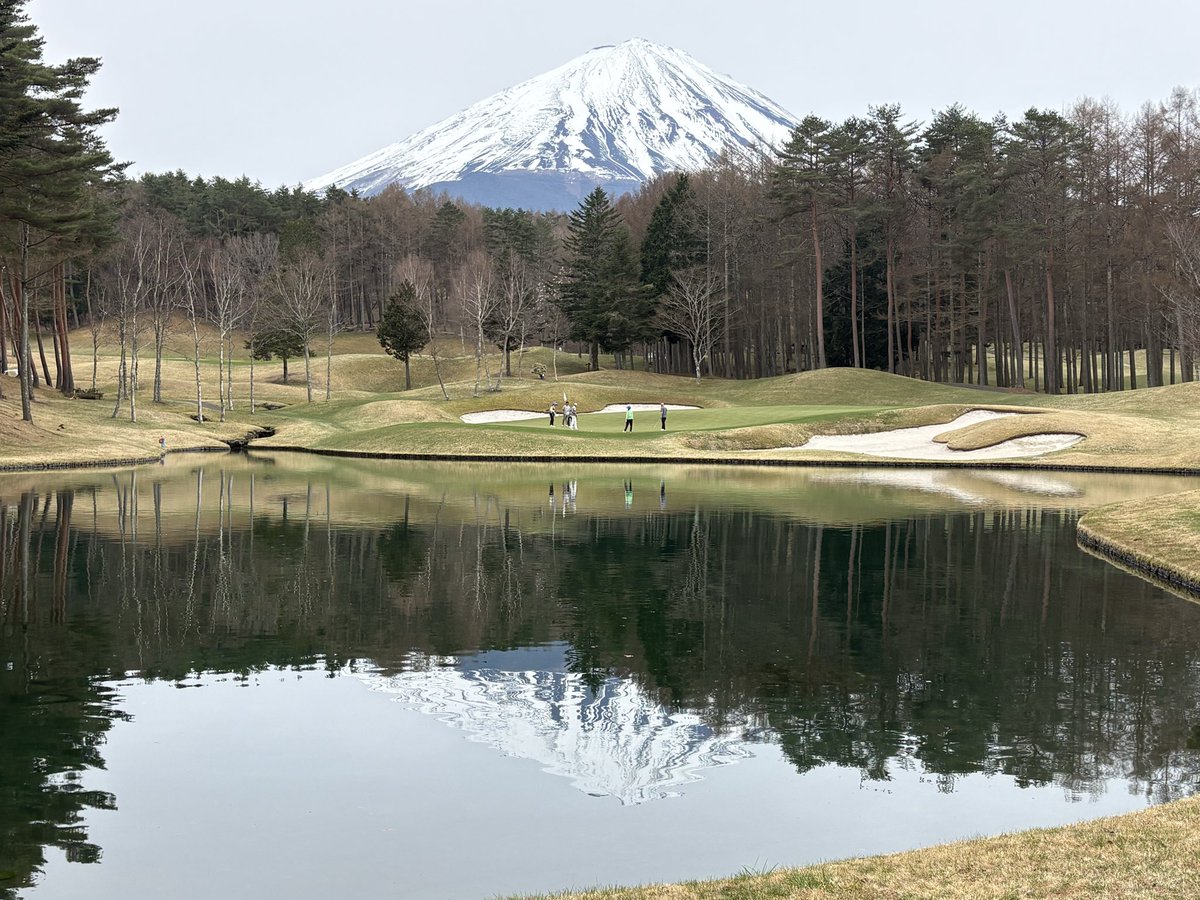 てーよー tweet media