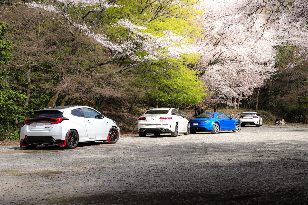 ピヌガヌ tweet media