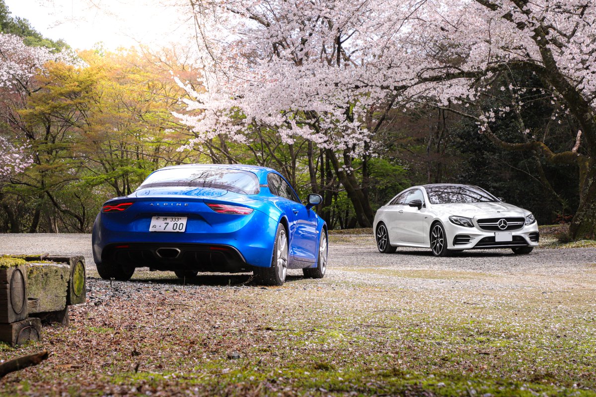 ピヌガヌ tweet media