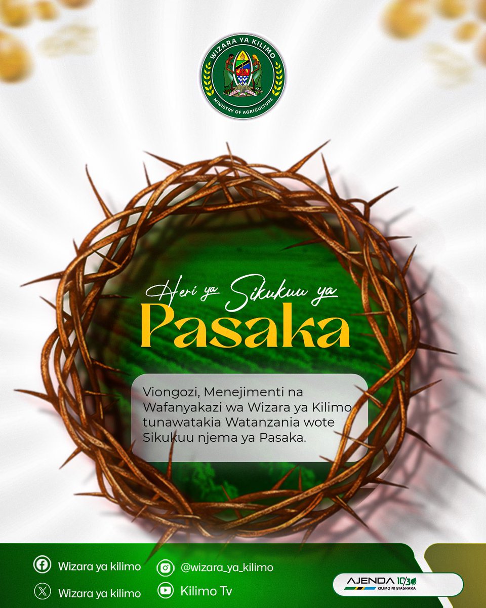 Tagie Daisy tweet media