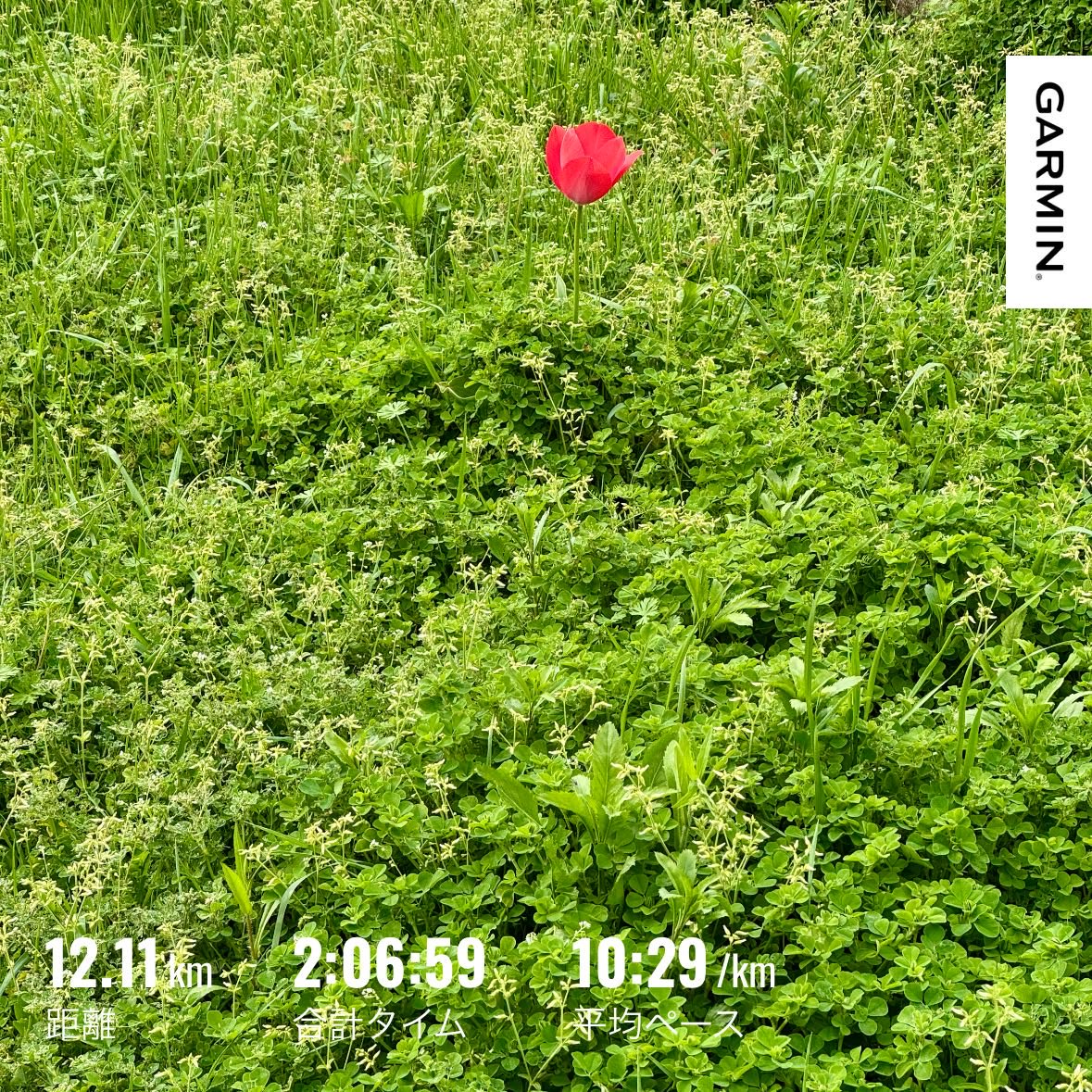 nejikuman tweet media