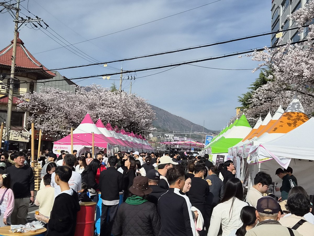 🚗Safety Car🚕 tweet media