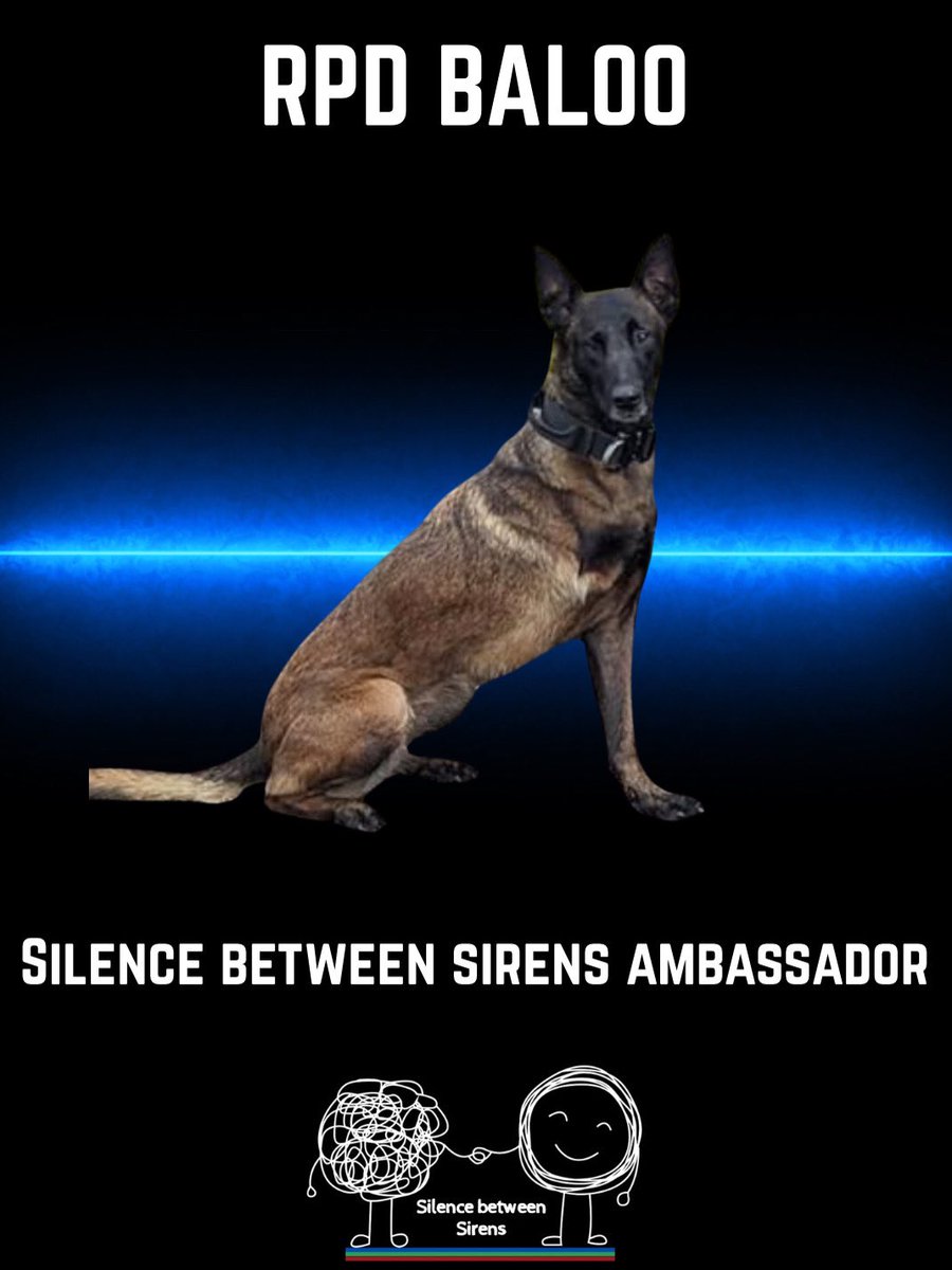 Silencebetweensirens tweet media