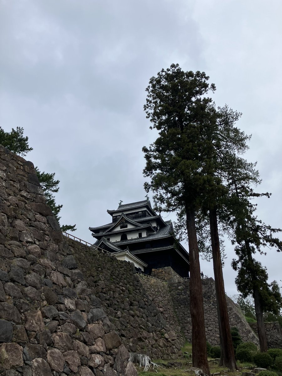 デービンソン・スレギ tweet media