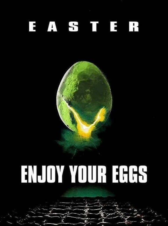 𝓛𝓪𝓭𝔂 𝓡𝓮𝓭𝔀𝓲𝓽𝓬𝓱 ☠️🏴🇬🇧 tweet media