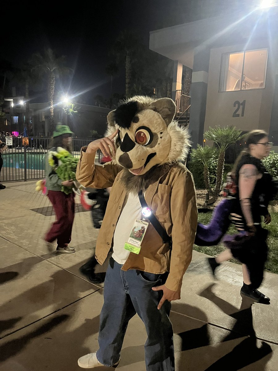 Otto 🦦 🔜 LVFC/LVLUP tweet media