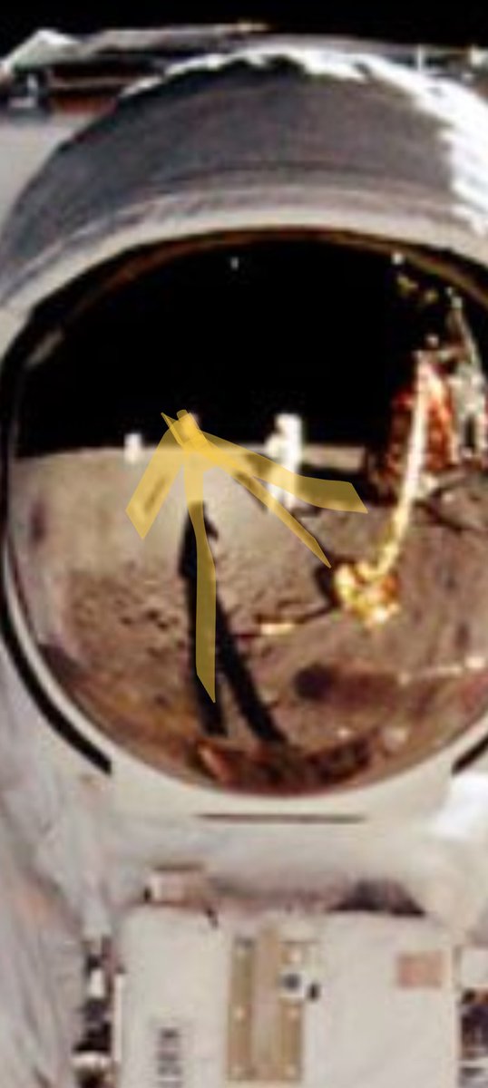 James Webber tweet media