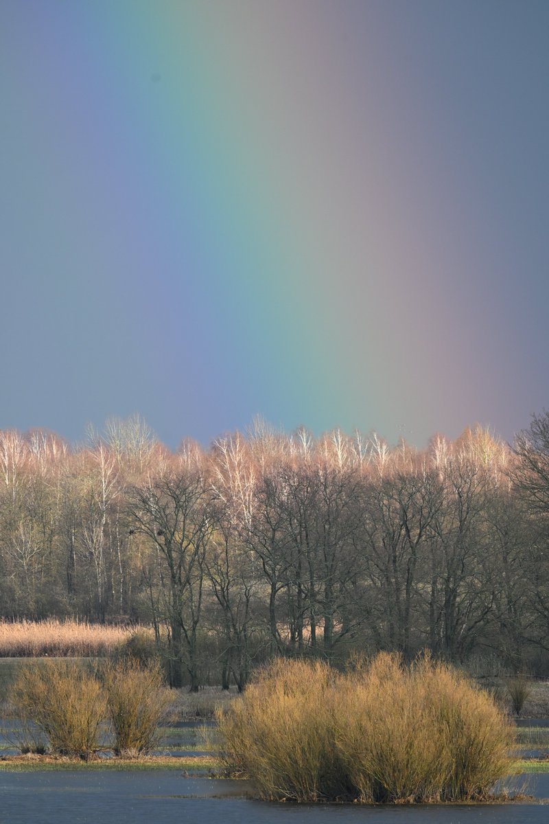 Oliwier Myka tweet media