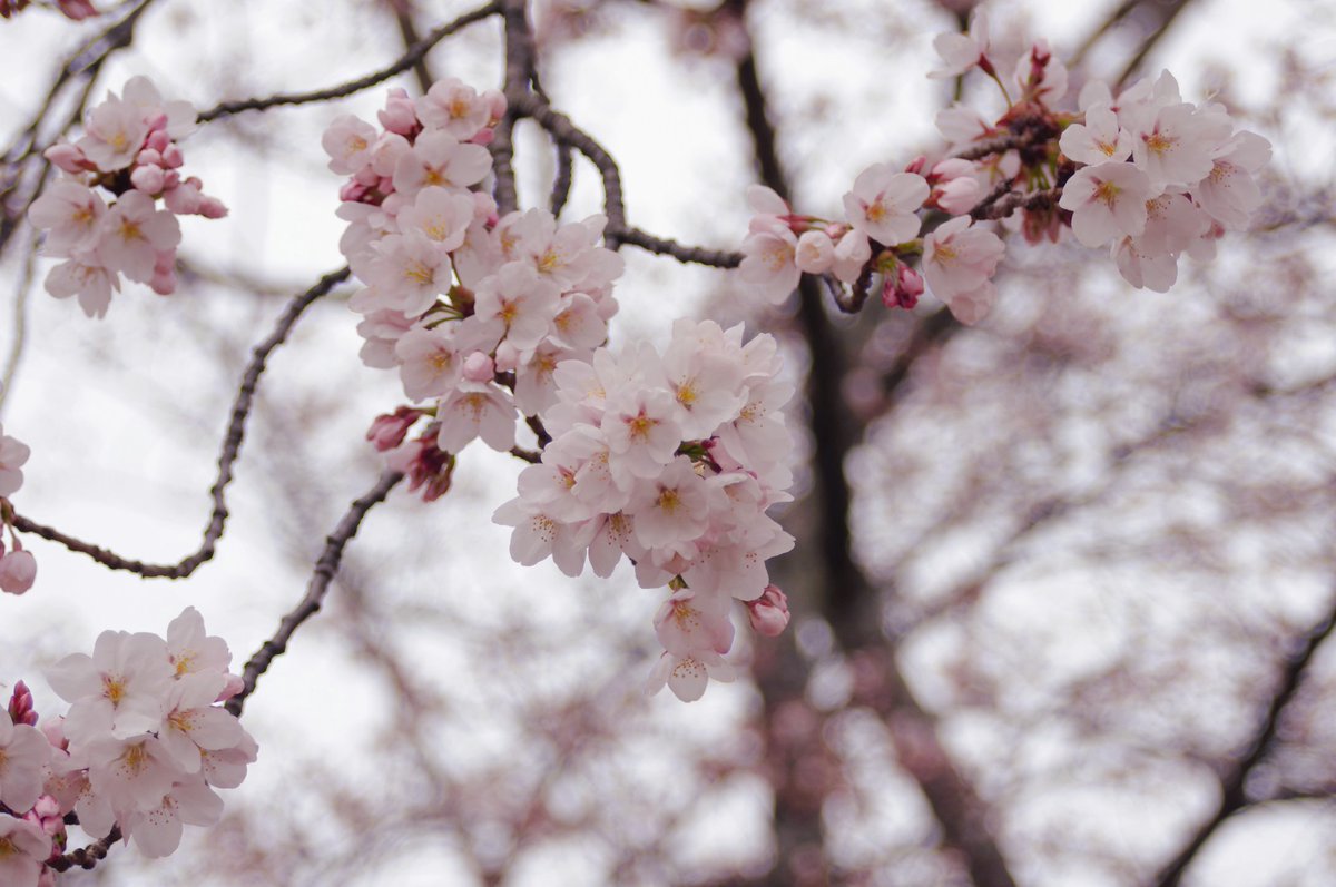 じ ょ ん tweet media