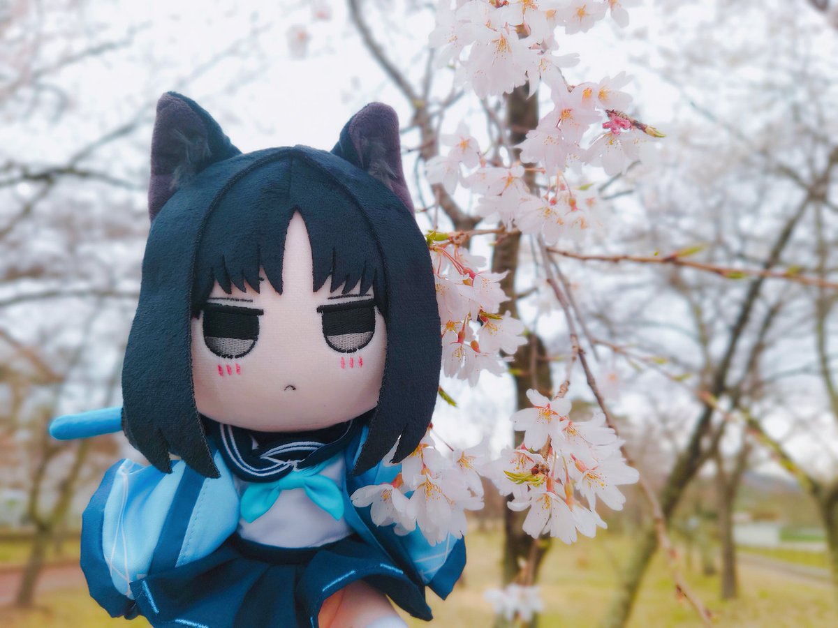 じ ょ ん tweet media