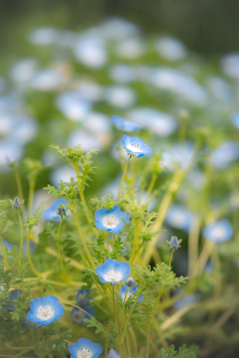 R.Suguri tweet media