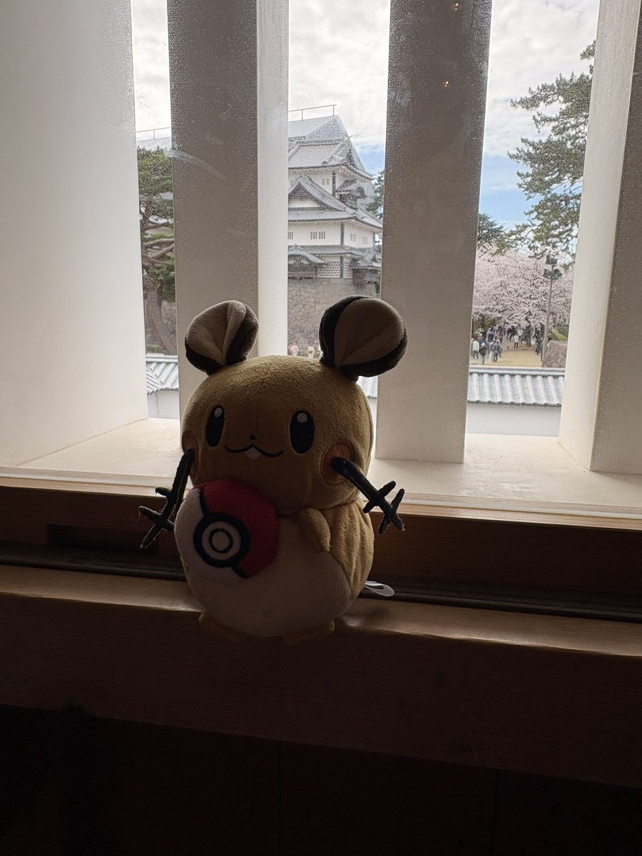 ぼーまんだをたおしたい tweet media